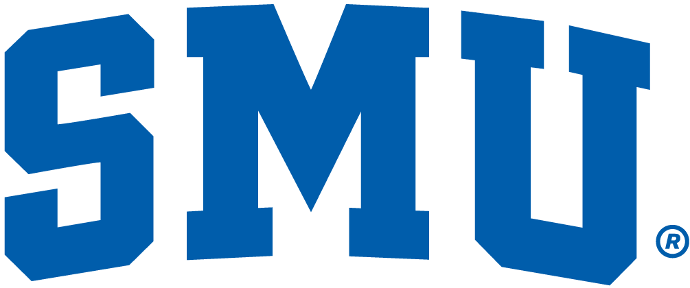 Southern Methodist Mustangs 1978-2007 Wordmark Logo v2 diy iron on heat transfer